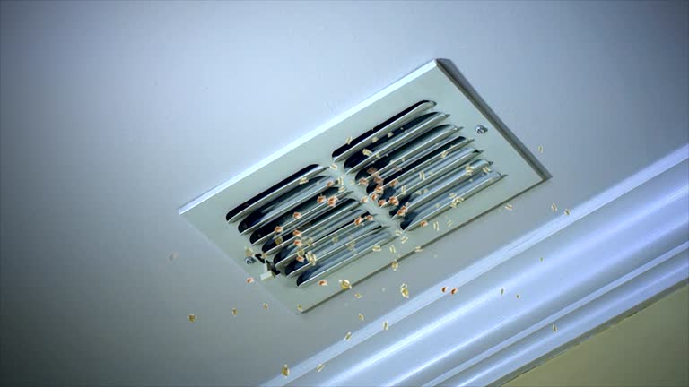 Best HVAC System Cleaning  in North Brooksville, FL