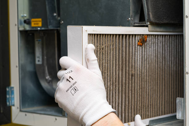 Best Affordable Duct Cleaning Services  in North Brooksville, FL